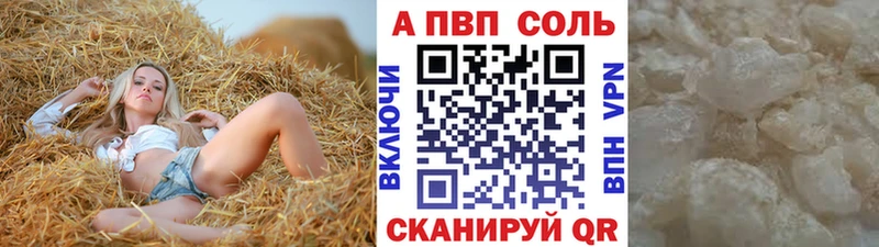 дарнет шоп KRAKEN онион Alpha PVP СК Елизово