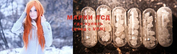 хмурый Гусев