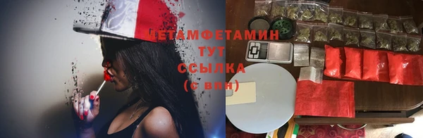 прущие грибы Волосово