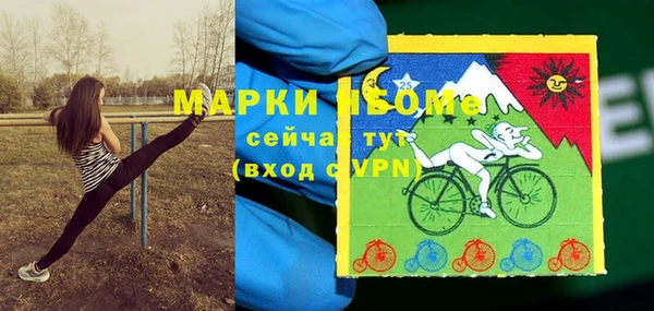 прущие грибы Волосово