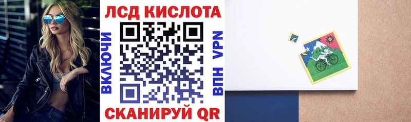 купить наркотик  Елизово  Наркотические марки 1500мкг 